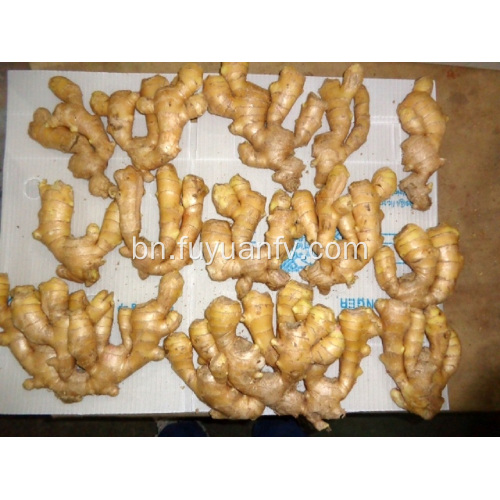 200g এয়ার শুকনো আদা